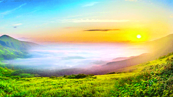 2346061 kalerkantho 2022 16 pic - Bd Sylhet News