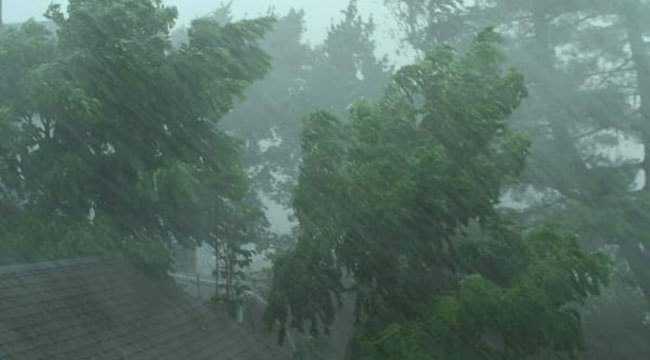 FB IMG 1656138723417 - Bd Sylhet News