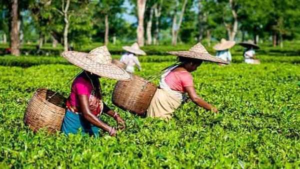 FB IMG 1661455062825 - Bd Sylhet News