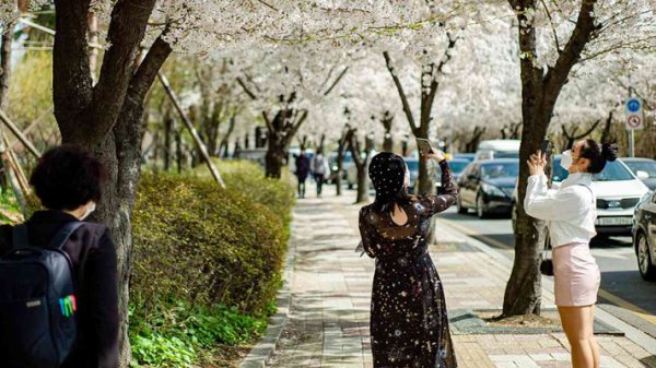 korea 20230101174829 - Bd Sylhet News