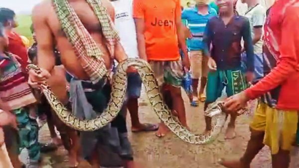 354057757 817953266710766 2112620271167683986 n - Bd Sylhet News