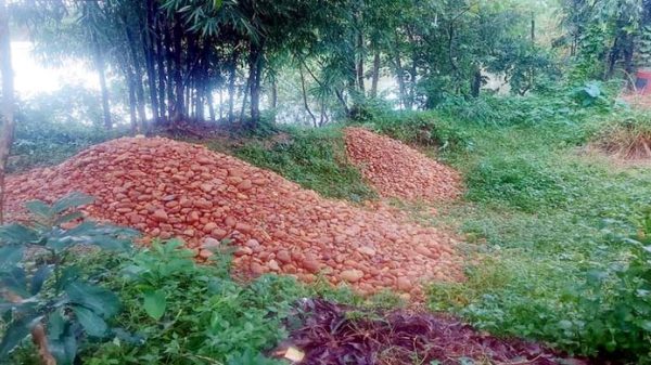355886328 671284915014573 4605164981670401875 n - Bd Sylhet News