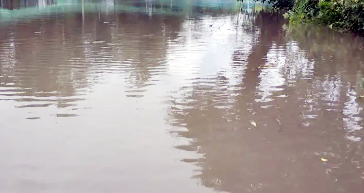 Untitled 3 copy 5 - Bd Sylhet News