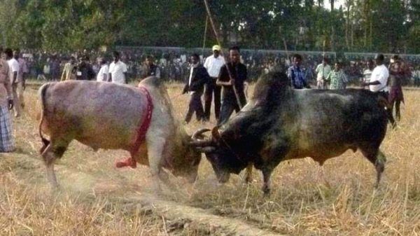 20241115 232126 - Bd Sylhet News