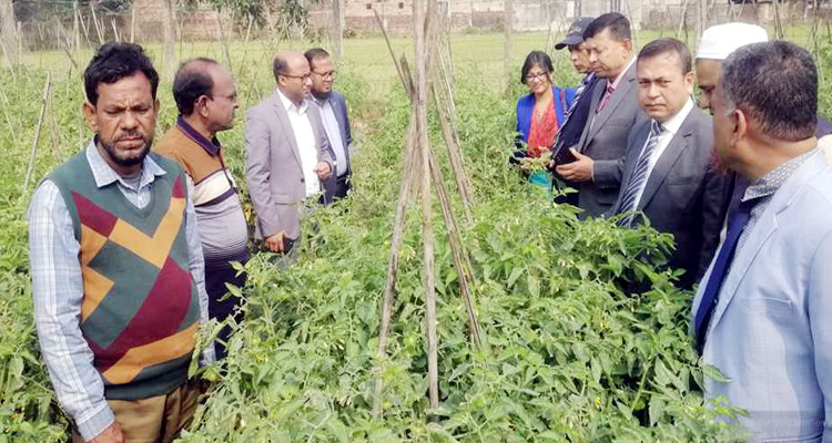 422020222 768197071829626 9177961225528757898 n - Bd Sylhet News