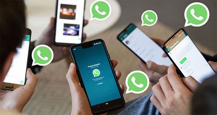 whatsapp 6 - Bd Sylhet News