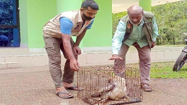 159485 - Bd Sylhet News