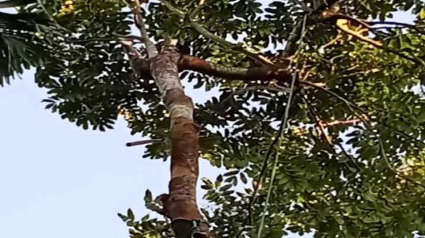 6a882cdb67f9b3828c38b4e12da738d7cde310be0fab79a2 - Bd Sylhet News