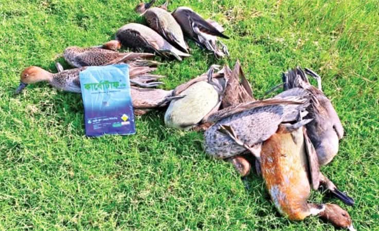 FB IMG 1747024190092 - Bd Sylhet News