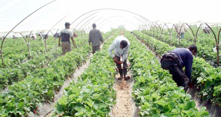 bd1 2025 - Bd Sylhet News