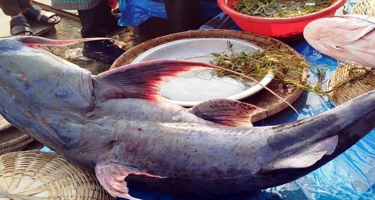 h2025 - Bd Sylhet News