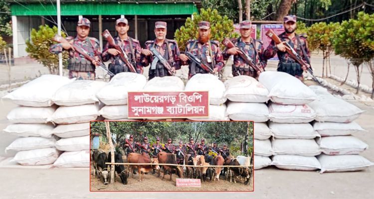 bd 31562 - Bd Sylhet News