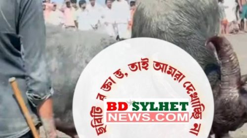 Screenshot 20250509 165537 AndroVid - Bd Sylhet News