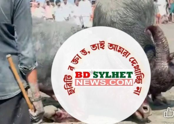 Screenshot 20250509 165537 AndroVid - Bd Sylhet News