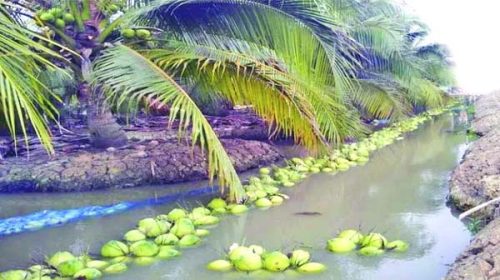 Untitled 2 copy 4 - Bd Sylhet News