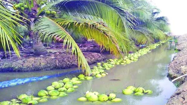 Untitled 2 copy 4 - Bd Sylhet News