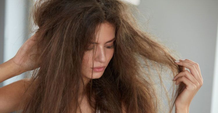 hair care 20250516102730 - Bd Sylhet News