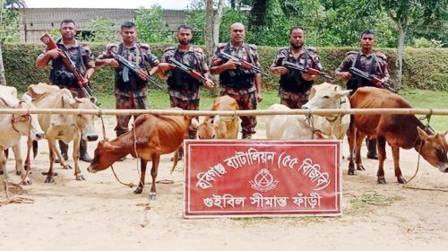 390961 - Bd Sylhet News