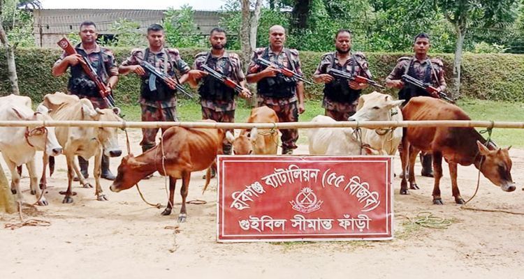 390961 - Bd Sylhet News