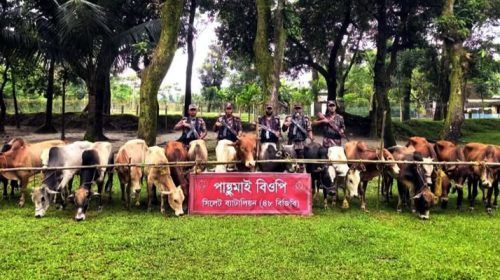 526075937 - Bd Sylhet News