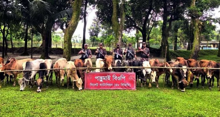 526075937 - Bd Sylhet News