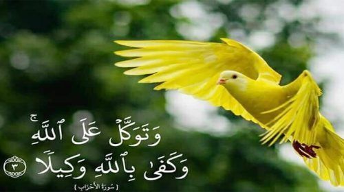 Untitled 1 copy 17 - Bd Sylhet News