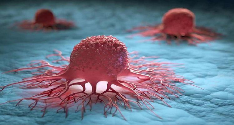 kzansar 1755081099 - Bd Sylhet News