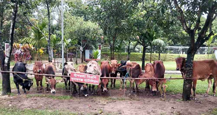 1758083333 e06d061a77a7bde916b8a91163029d41 - Bd Sylhet News