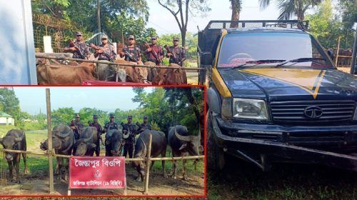 550368915 1310453027527803 3337668858306792277 n copy - Bd Sylhet News