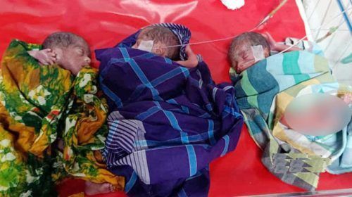 new born 826x497 1 - Bd Sylhet News