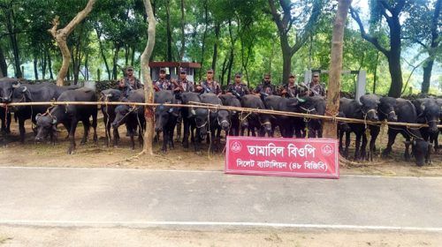 q2 - Bd Sylhet News