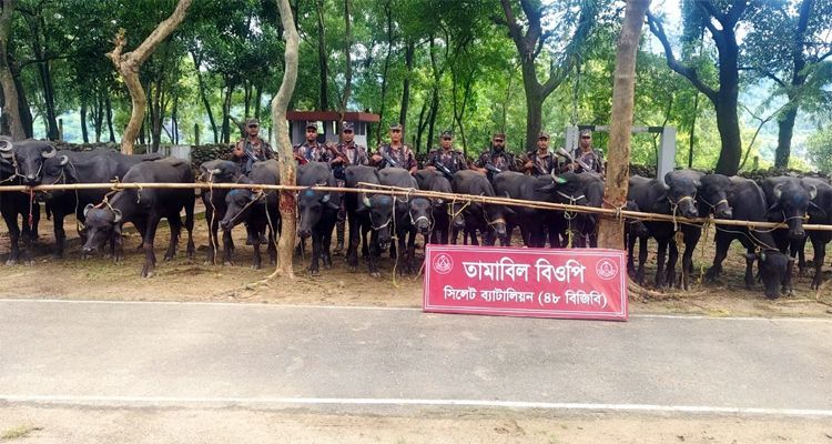 q2 - Bd Sylhet News
