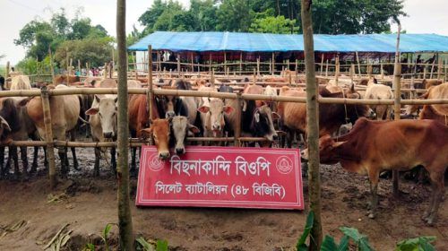 Untitled 11 copy - Bd Sylhet News