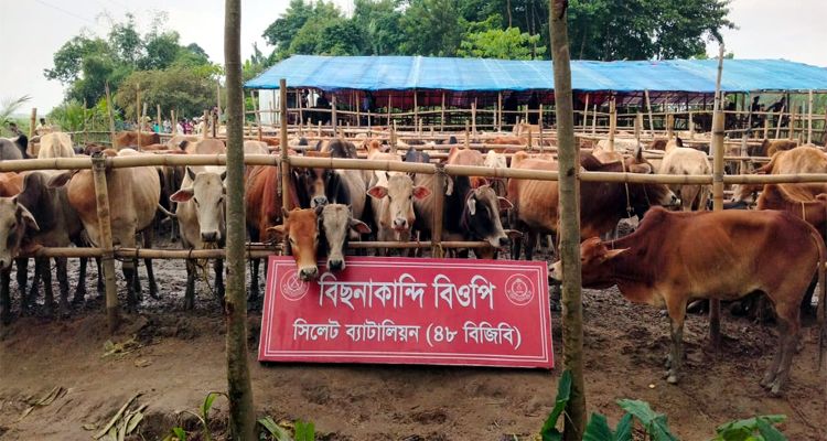 Untitled 11 copy - Bd Sylhet News
