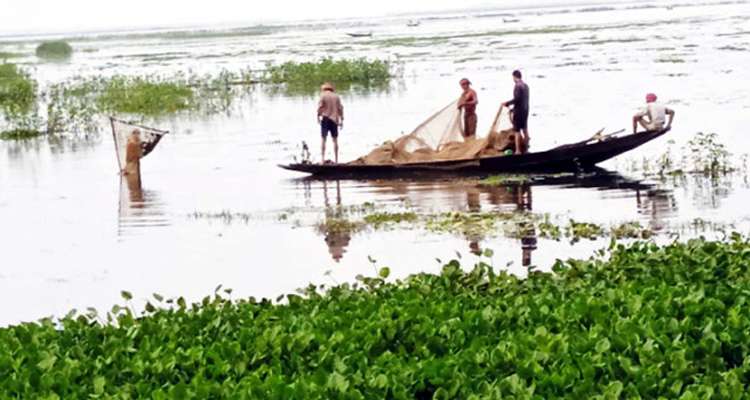 1700 - Bd Sylhet News