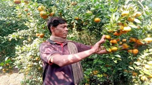 1763382997 52f22f05278995ea7978bc67c9fdcc89 - Bd Sylhet News