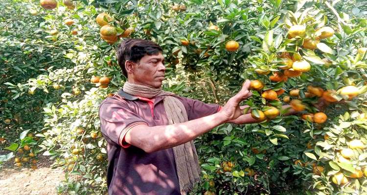 1763382997 52f22f05278995ea7978bc67c9fdcc89 - Bd Sylhet News