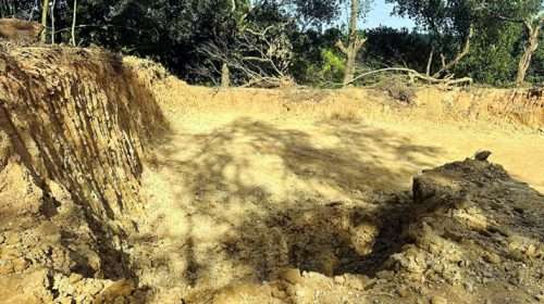 1763451275 e06d061a77a7bde916b8a91163029d41 - Bd Sylhet News