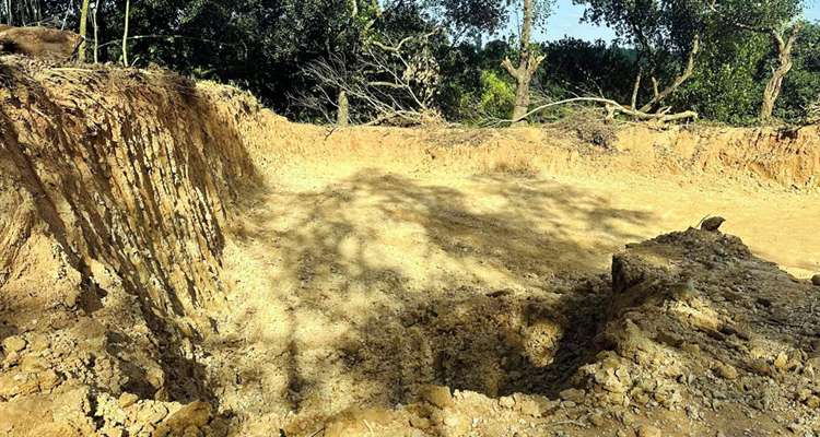 1763451275 e06d061a77a7bde916b8a91163029d41 - Bd Sylhet News