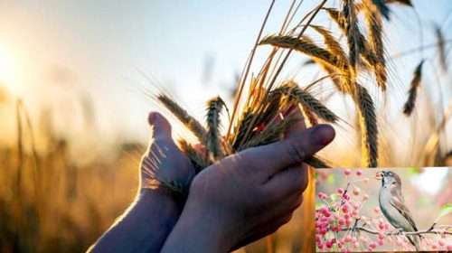 68c3790f652a85c12c0585576e4389344fc1187c0b998a67 - Bd Sylhet News