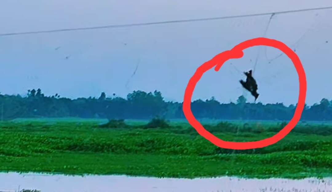 Screenshot 20251125 003456 Facebook - Bd Sylhet News