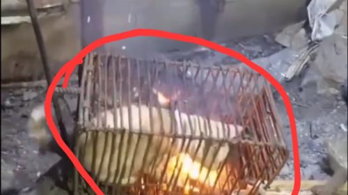 Screenshot 20251130 000400 Gallery - Bd Sylhet News