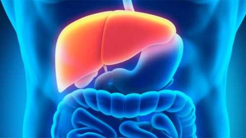 Untitled 2 - Bd Sylhet News