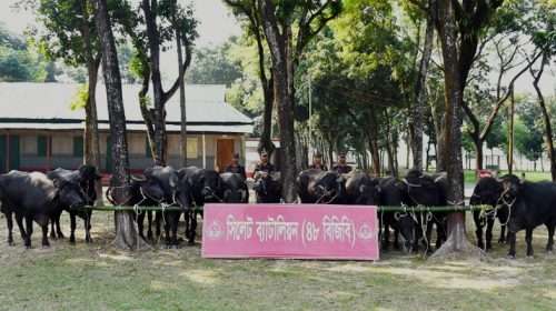 Untitled 2 copy 1 - Bd Sylhet News