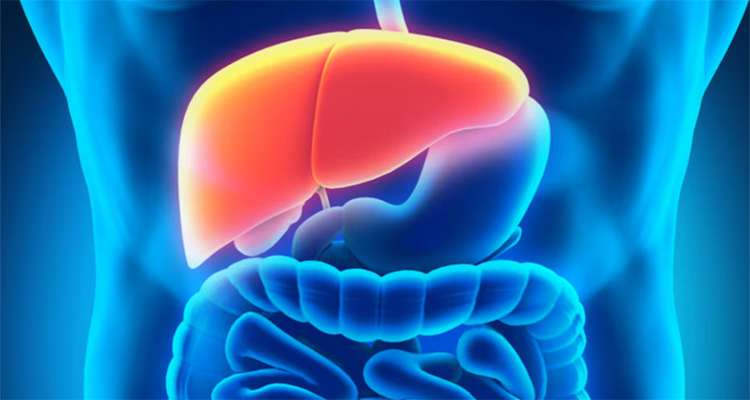 Untitled 2 - Bd Sylhet News