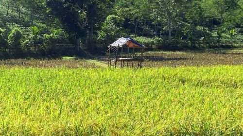 sasss 1763810470 - Bd Sylhet News