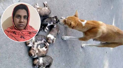 DT 1764741615 - Bd Sylhet News