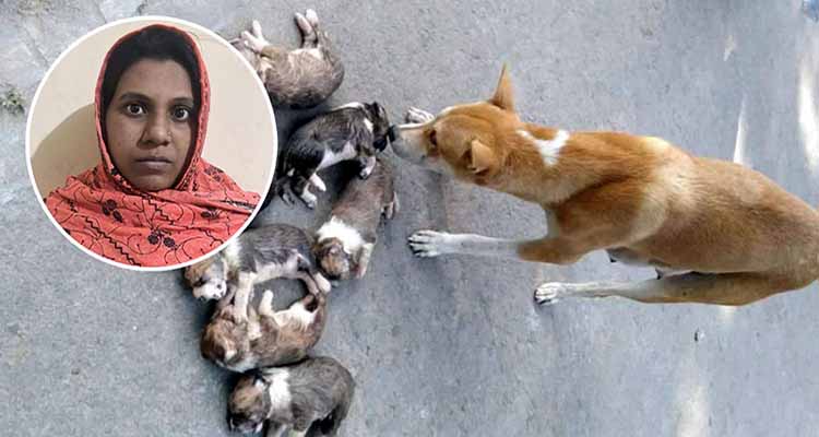 DT 1764741615 - Bd Sylhet News