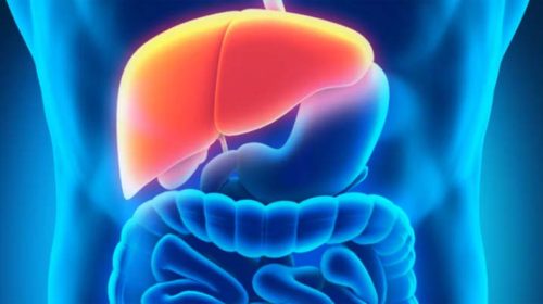 Untitled 12 copy - Bd Sylhet News