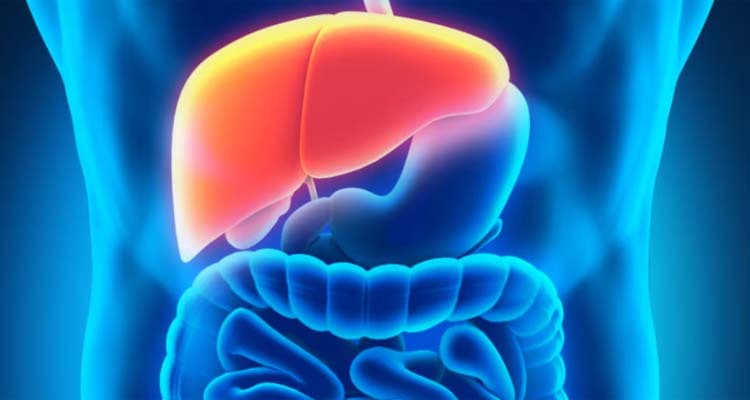 Untitled 12 copy - Bd Sylhet News